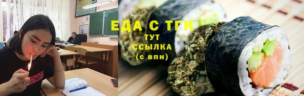 гашик Богданович