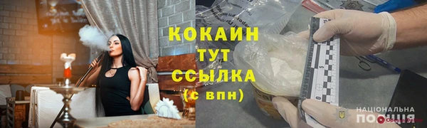 гашик Богданович