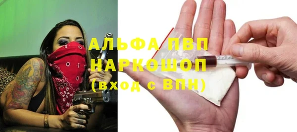 гашик Богданович