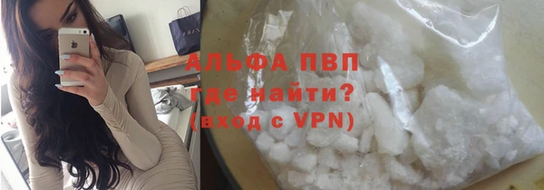 СК Богородицк