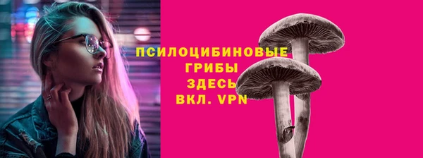 СК Богородицк