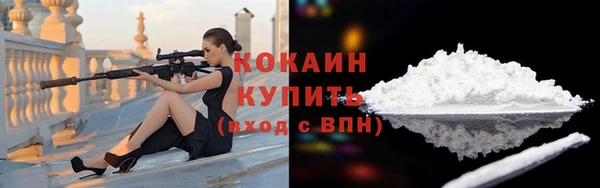 гашик Богданович