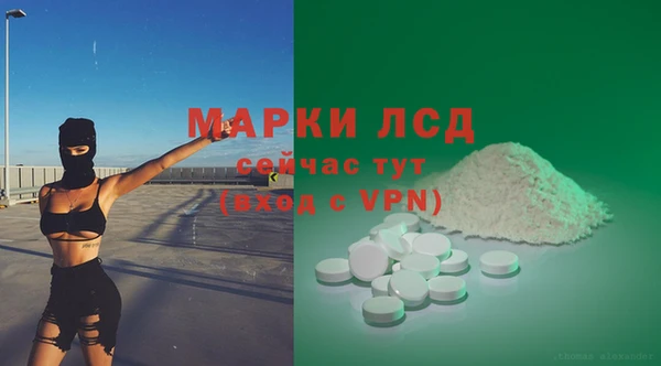 СК Богородицк