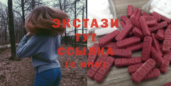 СК Богородицк