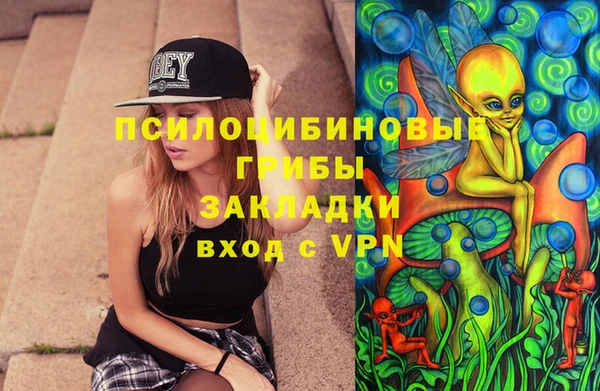 гашик Богородск