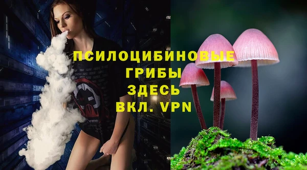 spice Бронницы