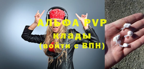гашик Богданович