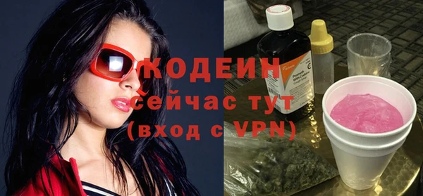 гашик Богородск