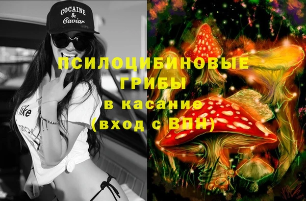 СК Богородицк