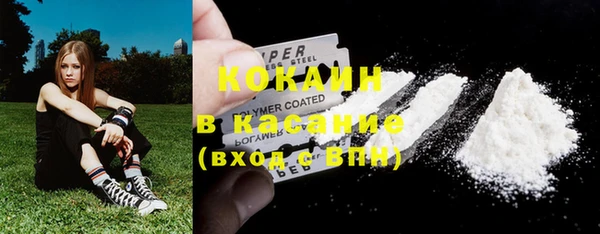 гашик Богданович