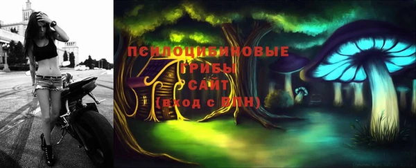 гашик Богородск