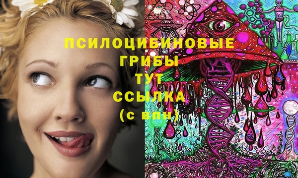spice Бронницы